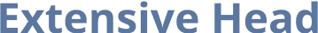 Extensive Head